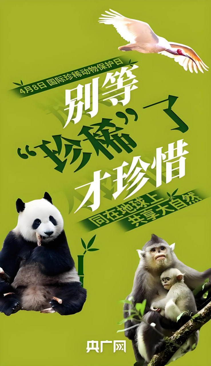 热播电视剧
